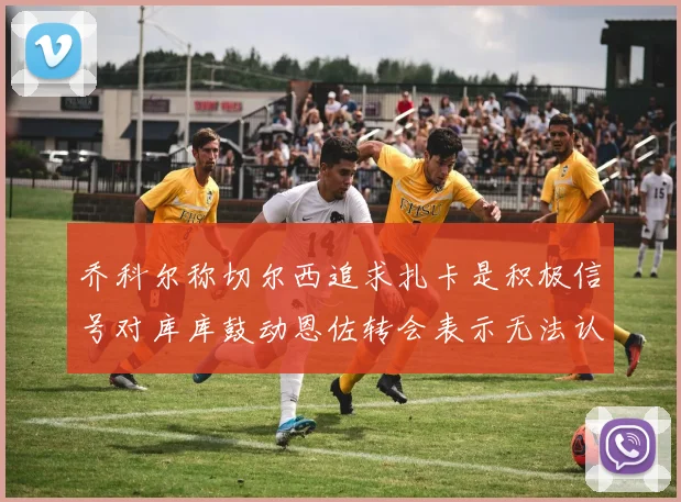 乔科尔称切尔西追求扎卡是积极信号对库库鼓动恩佐转会表示无法认同