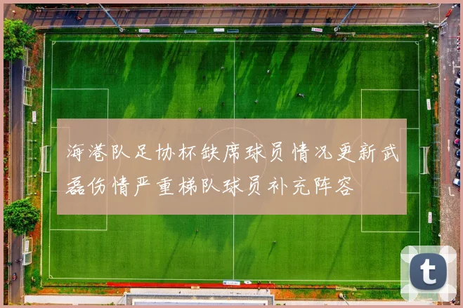 海港队足协杯缺席球员情况更新武磊伤情严重梯队球员补充阵容